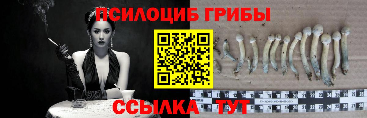 Галлюциногенные грибы Magic Shrooms  Вход с VPN  Ессентуки 